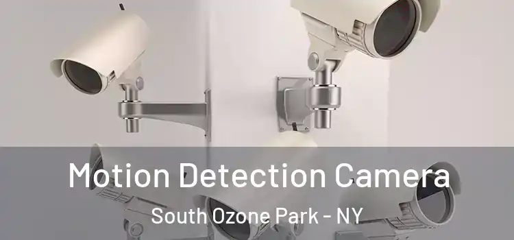  Motion Detection Camera South Ozone Park - NY