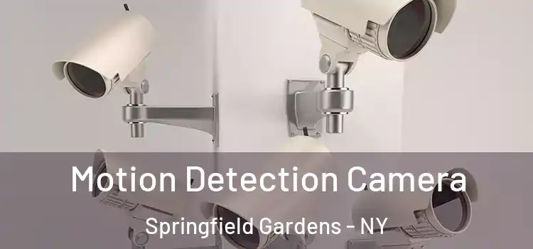  Motion Detection Camera Springfield Gardens - NY