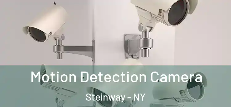  Motion Detection Camera Steinway - NY