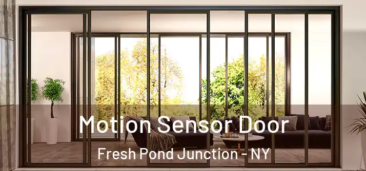  Motion Sensor Door Fresh Pond Junction - NY