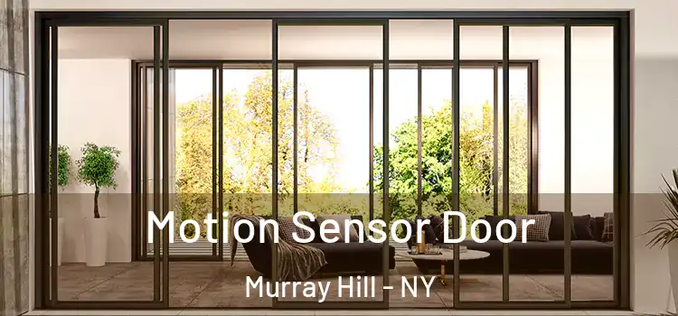 Motion Sensor Door Murray Hill - NY
