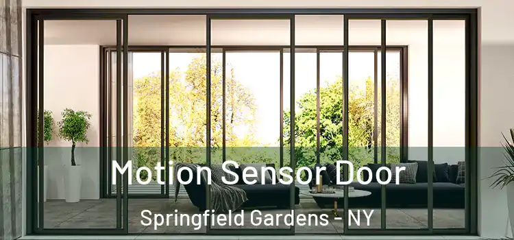 Motion Sensor Door Springfield Gardens - NY
