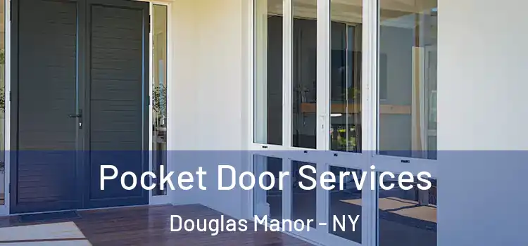 Pocket Door Services Douglas Manor - NY