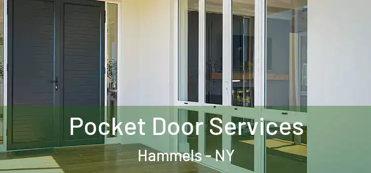  Pocket Door Services Hammels - NY