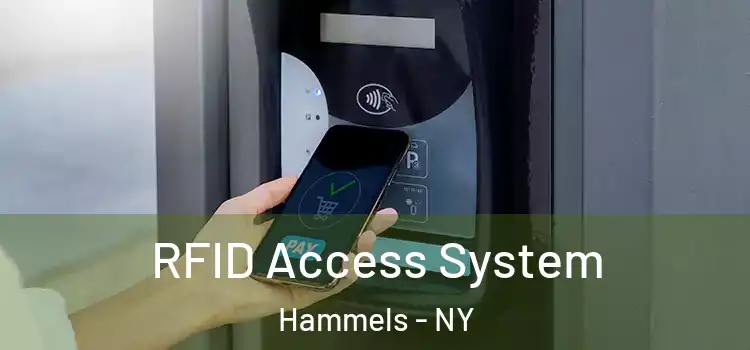  RFID Access System Hammels - NY
