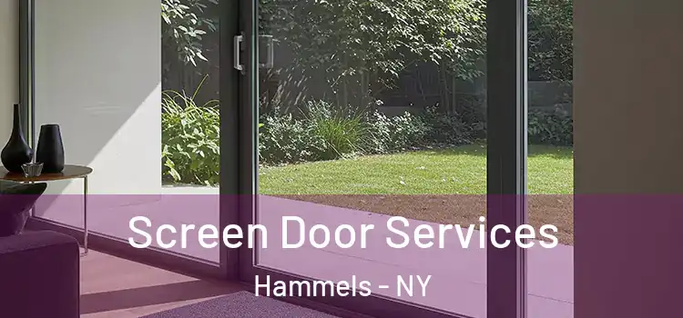 Screen Door Services Hammels - NY