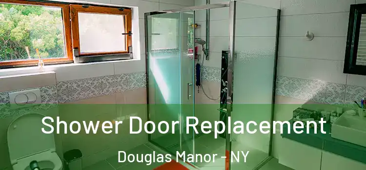 Shower Door Replacement Douglas Manor - NY