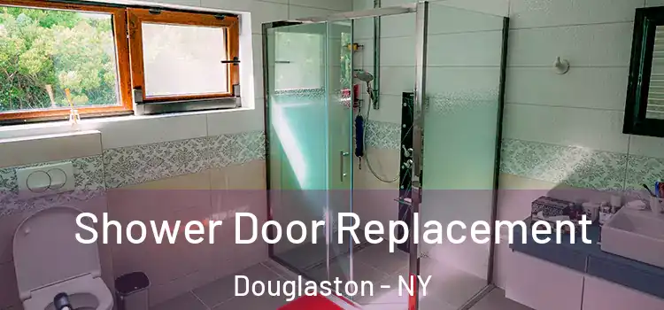 Shower Door Replacement Douglaston - NY