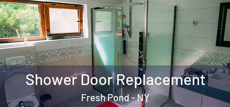  Shower Door Replacement Fresh Pond - NY