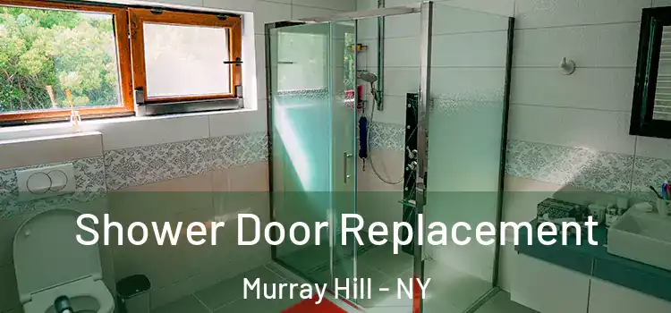 Shower Door Replacement Murray Hill - NY