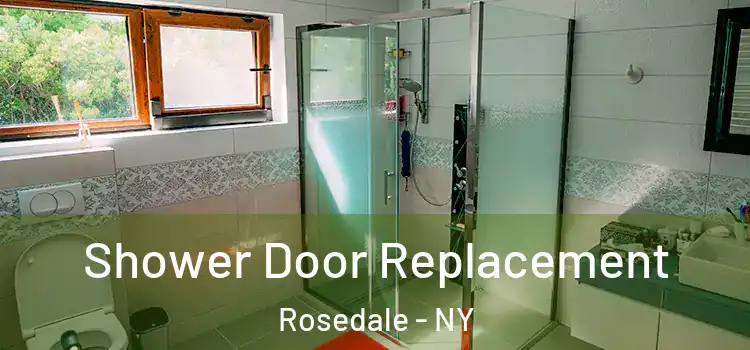  Shower Door Replacement Rosedale - NY