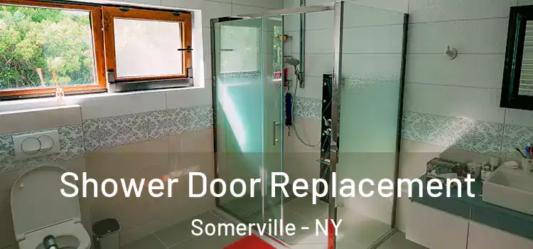 Shower Door Replacement Somerville - NY