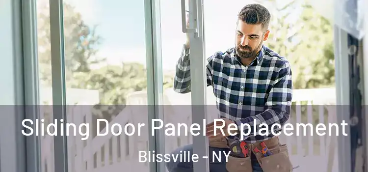  Sliding Door Panel Replacement Blissville - NY