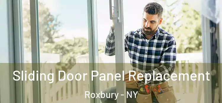  Sliding Door Panel Replacement Roxbury - NY