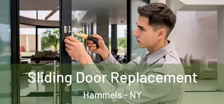  Sliding Door Replacement Hammels - NY