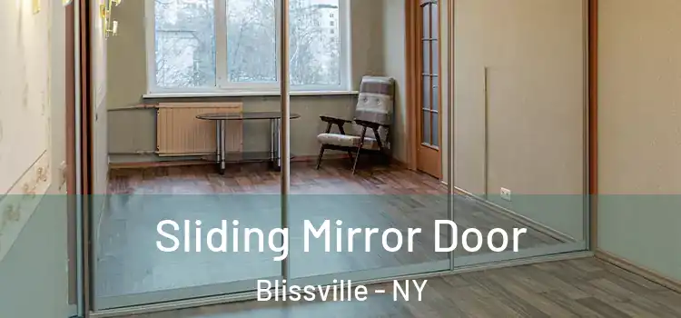  Sliding Mirror Door Blissville - NY
