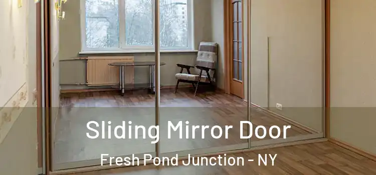  Sliding Mirror Door Fresh Pond Junction - NY