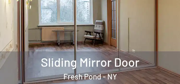  Sliding Mirror Door Fresh Pond - NY