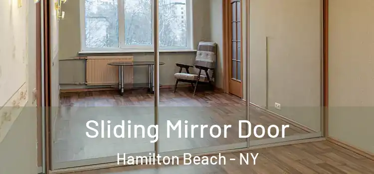  Sliding Mirror Door Hamilton Beach - NY