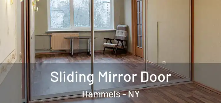  Sliding Mirror Door Hammels - NY
