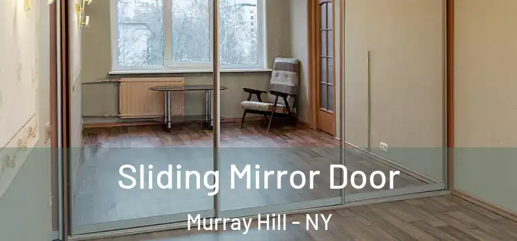  Sliding Mirror Door Murray Hill - NY