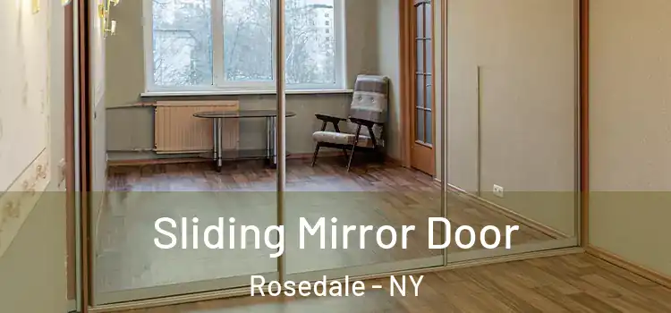  Sliding Mirror Door Rosedale - NY