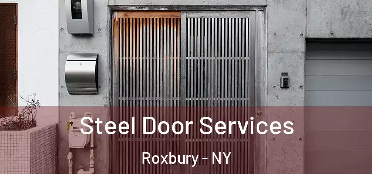 Steel Door Services Roxbury - NY