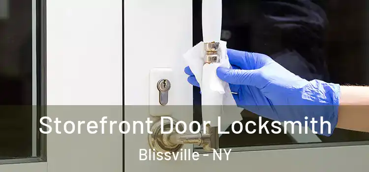 Storefront Door Locksmith Blissville - NY