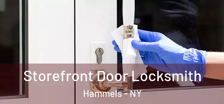 Storefront Door Locksmith Hammels - NY