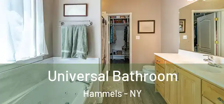 Universal Bathroom Hammels - NY