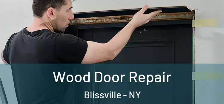  Wood Door Repair Blissville - NY